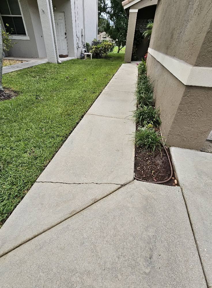 Paver Cleaning